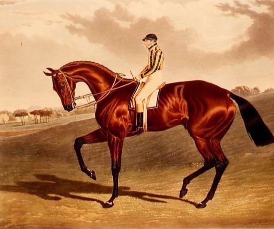 John Frederick Herring Snr _ 'Bay Middleton' winner of the Derby in 1836.jpg