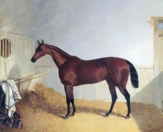 John Frederick Herring Snr _ Beeswing A Dark Bay Racehorse 1842.jpg