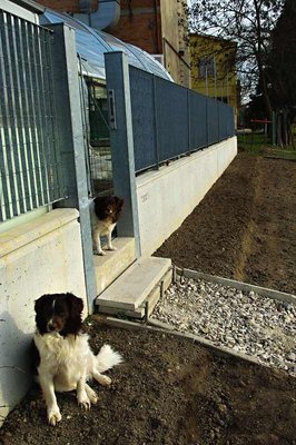 Preparazione terreno per Zucche Angurie e Meloni.jpg