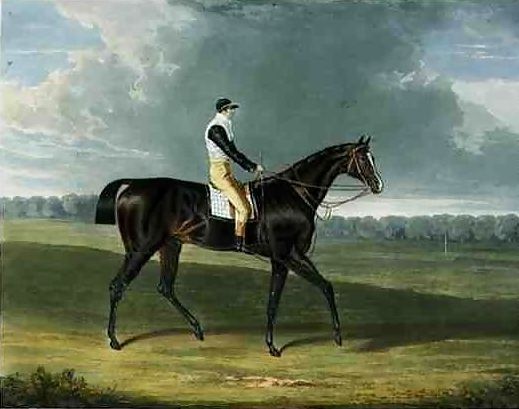 John Frederick Herring Snr _ 'Filho da Puta', the Winner of the Great St. Leger at Doncaster, 1815.jpg