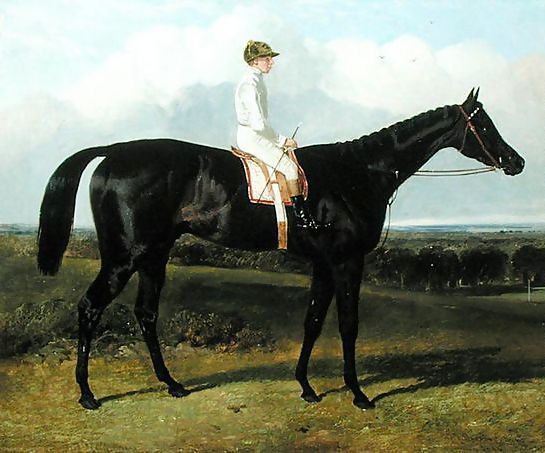 John Frederick Herring Snr _ 'Jonathan Wild', a Dark Bay Race Horse, at Goodwood, T. Ryder up, 1846.jpg