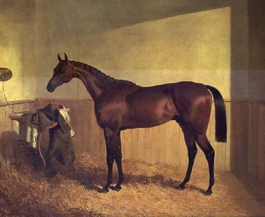 John Frederick Herring Snr _ 'The Merry Monarch', a bay racehorse, in a loosebox.jpg