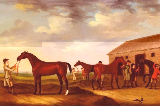 Francis Sartorius _ Four Racehorses Outside The Rubbing Down House, Newmarket.jpg