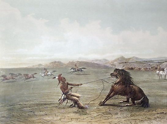 George Catlin _ Catching Wild Horses on the Plains.jpg