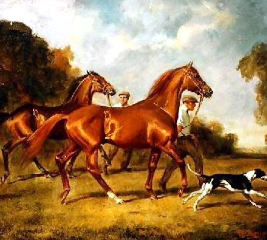 H. Raoul Millais _ Exercising the Horses.jpg