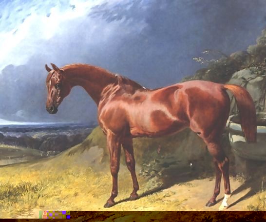 John Frederick Herring Snr _ Chestnut A Racehorse.jpg