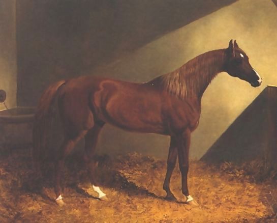 John Frederick Herring Snr _ Chestnut Racehorse In Stall.jpg