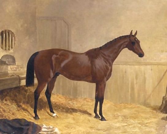 John Frederick Herring Snr _ Cotherstone A Racehorse 1843.jpg