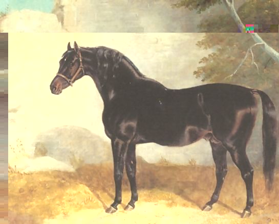 John Frederick Herring Snr _ Dark Bay Racehorse in Courtyard.jpg