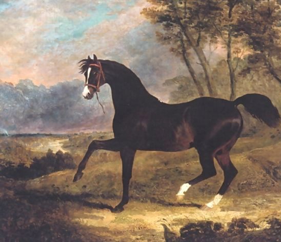 John Frederick Herring Snr _ Dark Bay Racehorse in Landscape.jpg