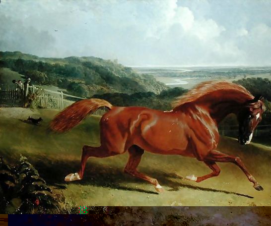 John Frederick Herring Snr _ Galloping Horse in a Landscape.jpg