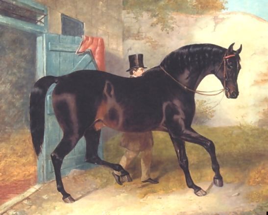 John Frederick Herring Snr _ Dark Bay Racehorse by Stable.jpg