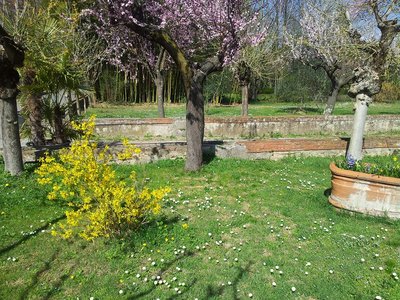 azienda-primavera1.jpg