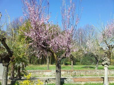 azienda-primavera3.jpg