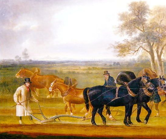 Thomas Weaver _ Cruckton ploughing match with four teams of horses, 1813.jpg