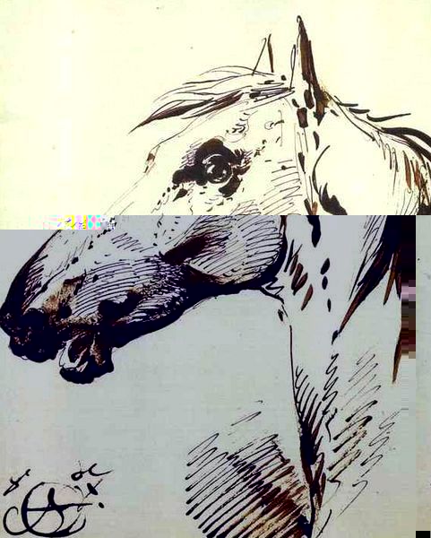 Aleksander Orlowski _ Head of a Horse.jpg