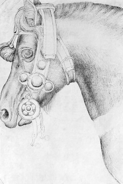 Antonio Pisano (Pisanello) _ Head of a horse, from the The Vallardi Album 2.jpg