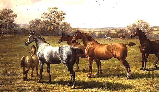 Charles Jones _ Horses and Foal in a Field.jpg