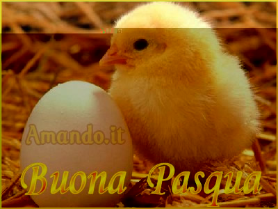 buona pasqua.jpg