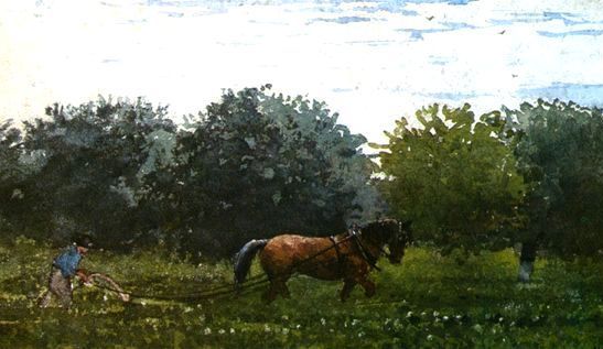 Winslow Homer _ Horse and Plowman, Houghton Farm.jpg