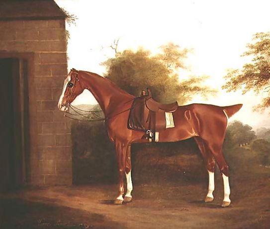 Thomas Weaver _ Horse with side saddle.jpg