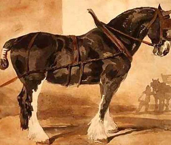 Theodore Gericault _ Harnessed black horse.jpg