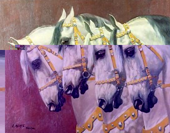 Oskar Merte _ Heads of Four Horses.jpg