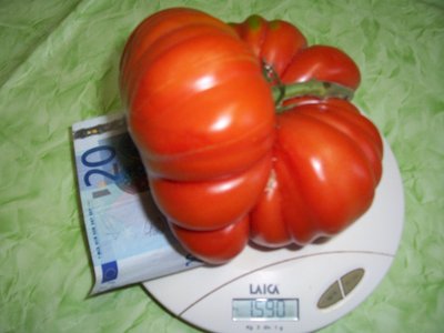 pomodoro 004.jpg