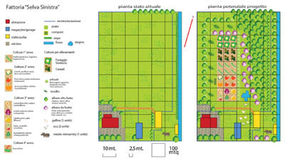 fattoria_Selva sinistra_pianta_progetto_small.jpg