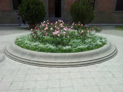 20120519_125241.jpg