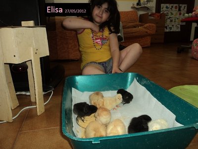 elisa.jpg