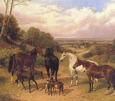 John Frederick Herring Snr _ Horse in Surrey Pastures.jpg