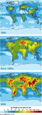 agricoltura_sostenibile_fertilizzante_sostenibile_fertilizzante_ecologico_fertilizzanti_naturali_fertilizzanti_azotati_1.jpg