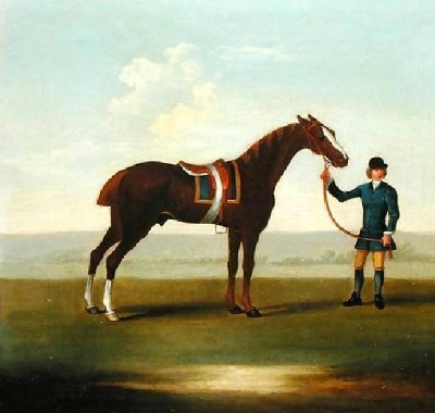 A Chestnut Horse.JPG