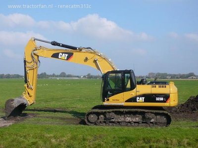 cat 323.jpg