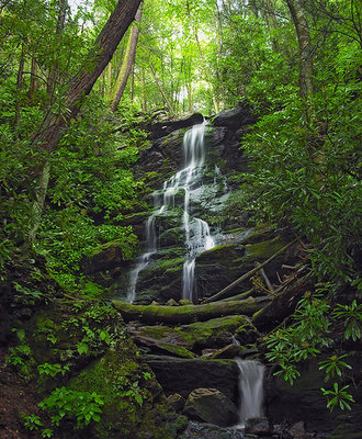 cascata nella riserva Giogo Casaglia.jpg