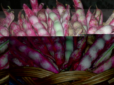 borlotti.jpg