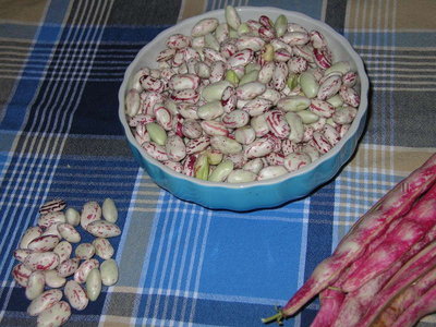 borlotti 1.jpg