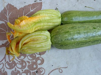 ZUCCA CON FIORE.jpg