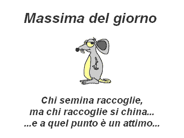 massima-del-giorno.gif