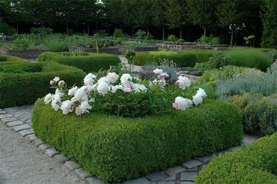 jardin-3-boisricheux.com.jpg