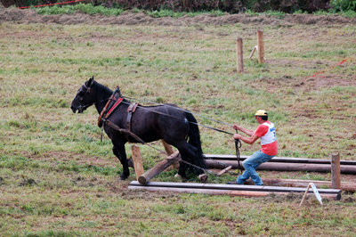 agritesino2012_tirotronco3.jpg