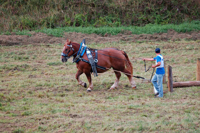 agritesino2012_tirotronco5.jpg