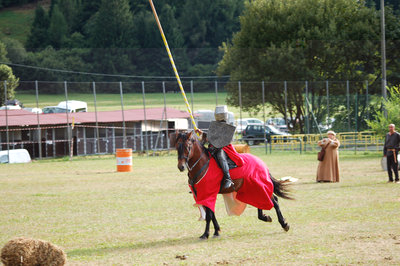 Agritesino2012_duello1.jpg