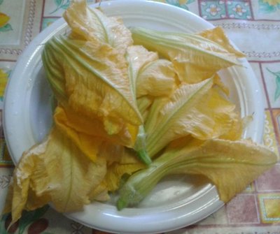 fiori zucca.jpg