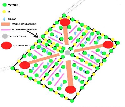 orti bio1.jpg