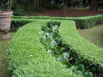 Giardino Corsi Firenze1.JPG