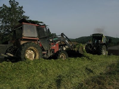 pressatura silo.JPG