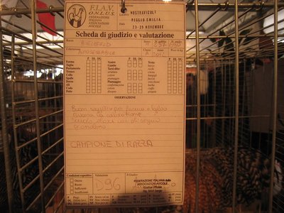 valutazione Bielefelder - IMG_9876.jpg