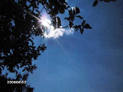 il cielo che vedo sopra me quando prendo il sole in giardino.jpg